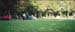 04_Schitterende_camping